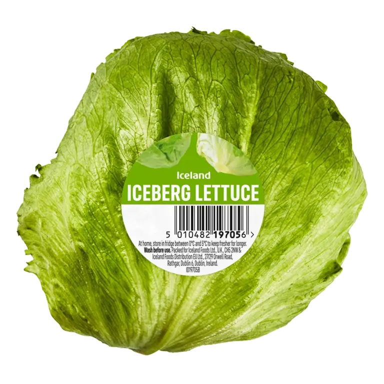 Iceberg Lettuce