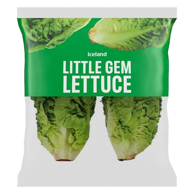 Little Gem Lettuce