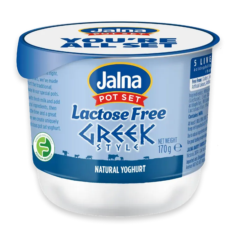Pot Set Lactose Free Greek Style Yogurt