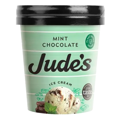 Plant Based Vegan Mint Chocolate Ice Cream