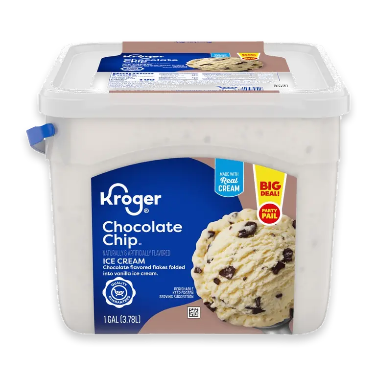 Chocolate Chip Ice Cream Party Pail BIG DEAL!