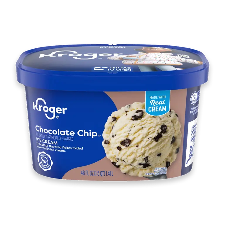 Chocolate Chip Ice Cream Tub