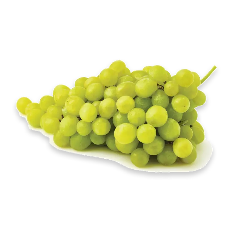 Fresh California Seedless White Grapes