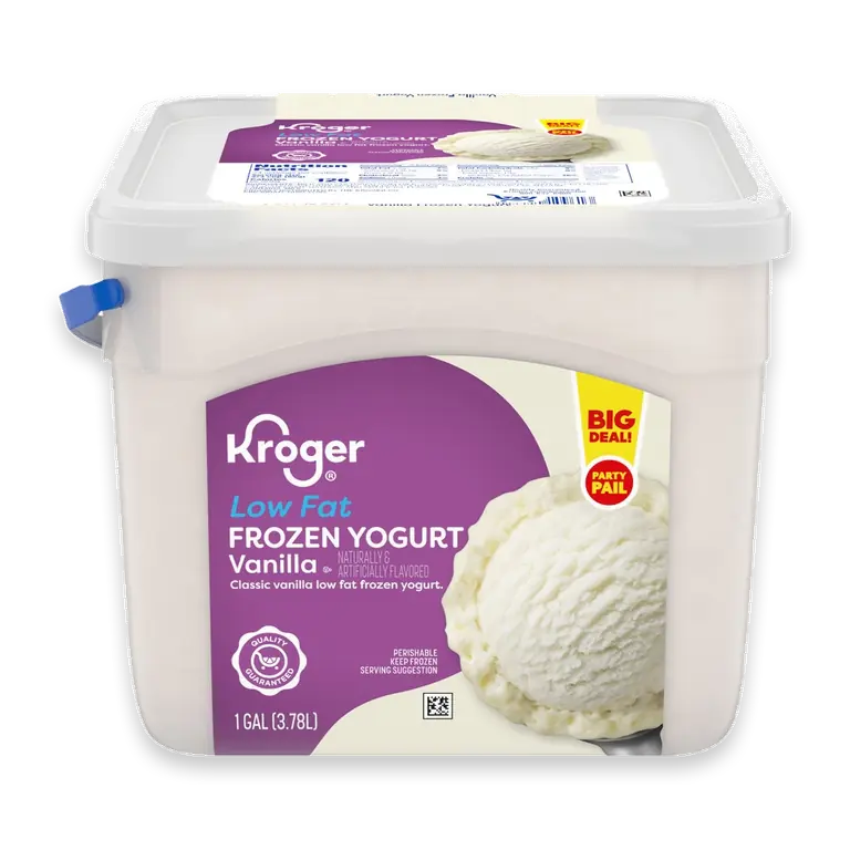 Low Fat Vanilla Frozen Yogurt Party Pail BIG DEAL!