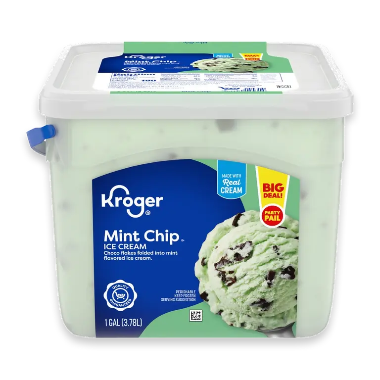 Mint Chip Ice Cream Party Pail BIG DEAL!