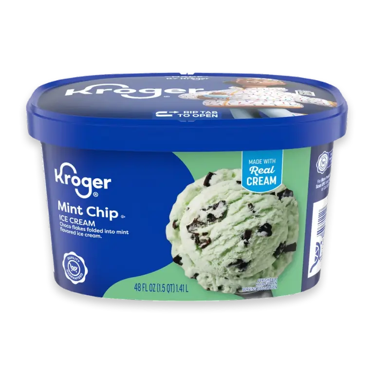 Mint Chocolate Chip Ice Cream Tub