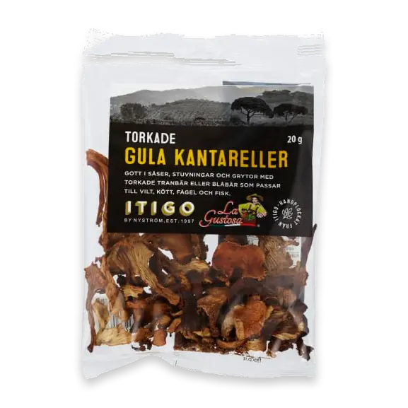 Kantareller Gula Torkade