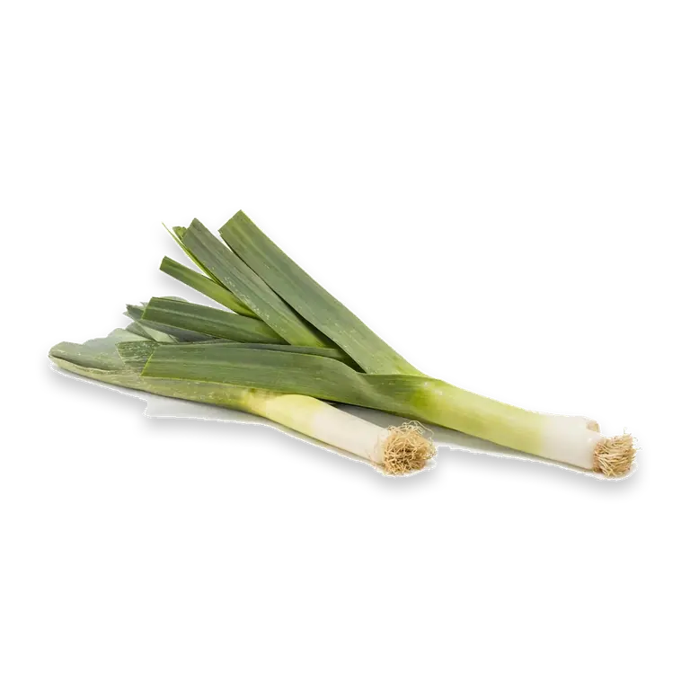 Leek Twin