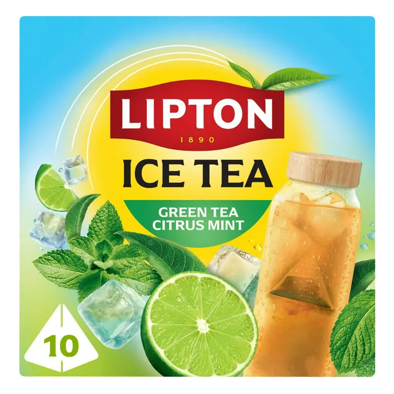 Green Tea 10 x 3.5g Citrus Mint Pyramid Ice Tea Bags