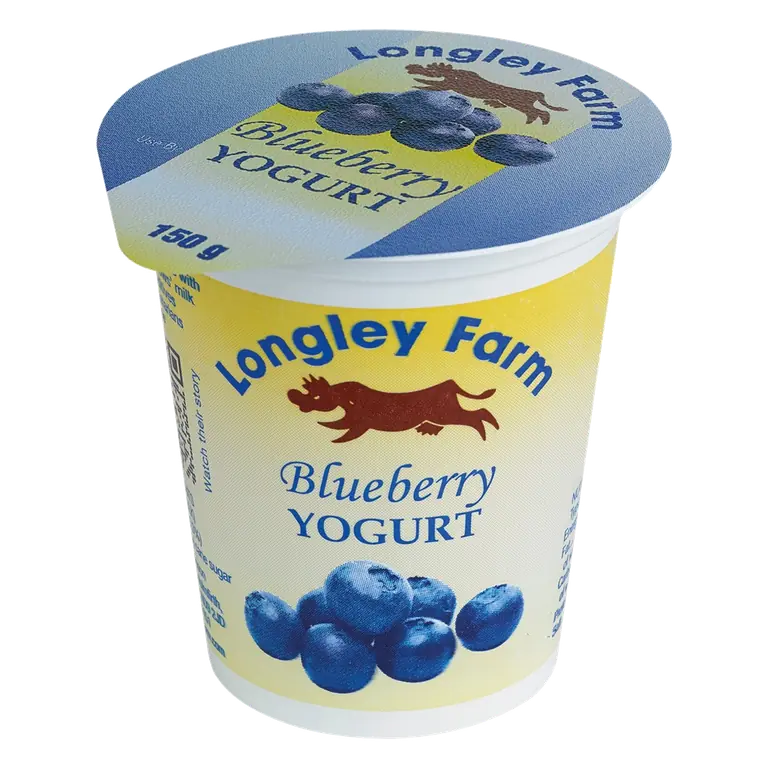 Blueberry Yogurt