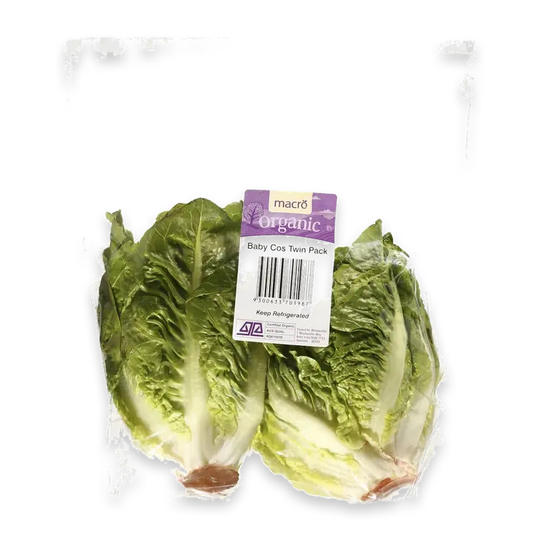 Fresh Lettuce Baby Cos Organic Pack