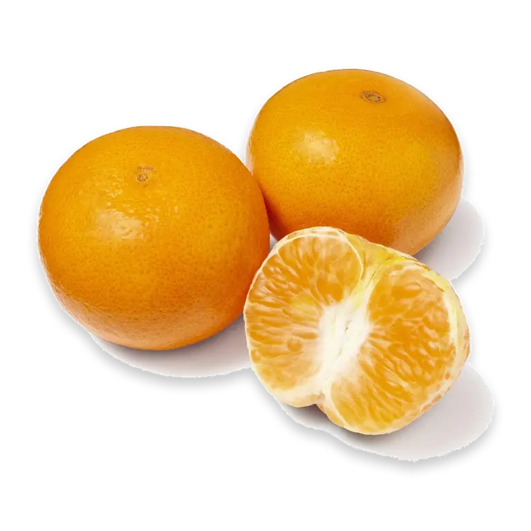 Mandarin Phoenix
