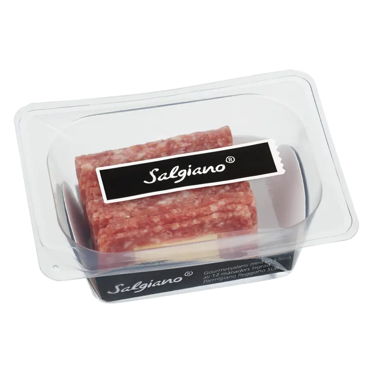 Salgiano