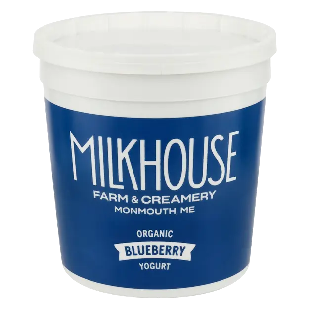 Organic Blueberry Yogurt