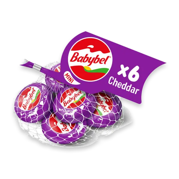 Cheddar 6p