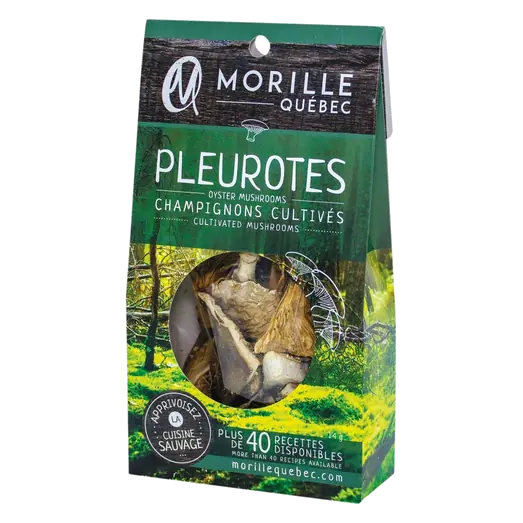 Dried Oyster Mushrooms 14 g