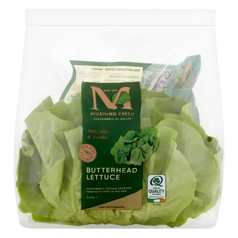 Morning Fresh Butterhead Lettuce