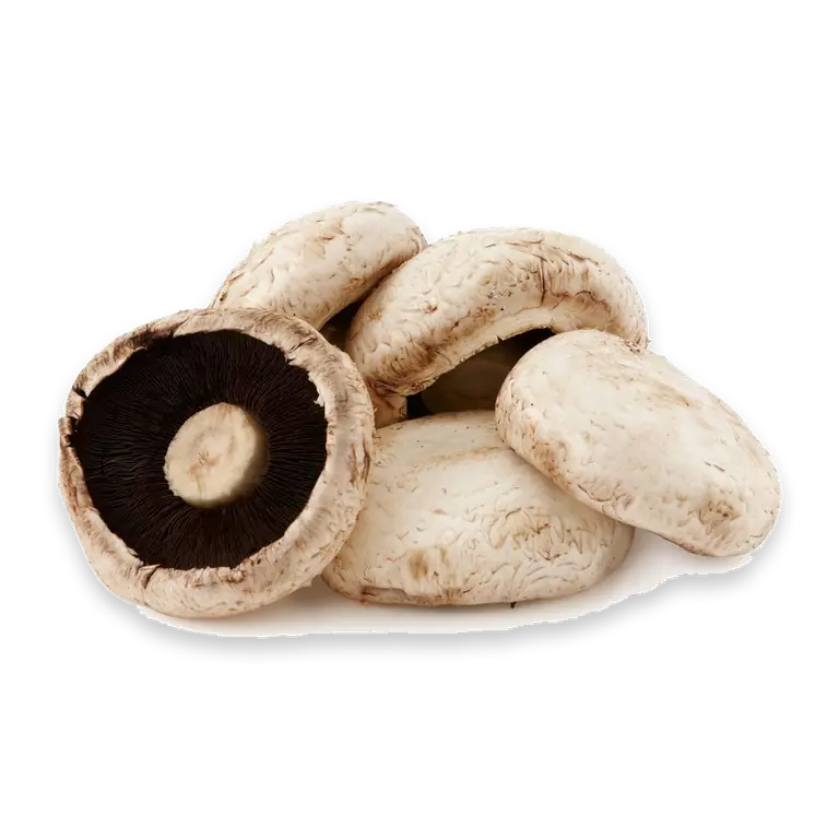 Mushroom Portobello Flat Large Loose