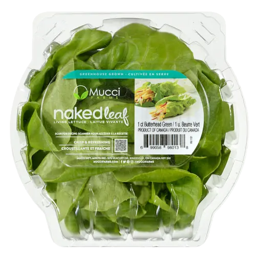 Lettuce Green Butter 1 Count