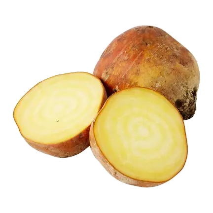 Golden Beetroot