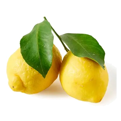 Italian Leafy Lemons