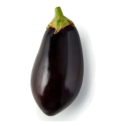 Large Aubergine