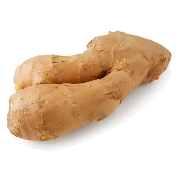 Organic Root Ginger