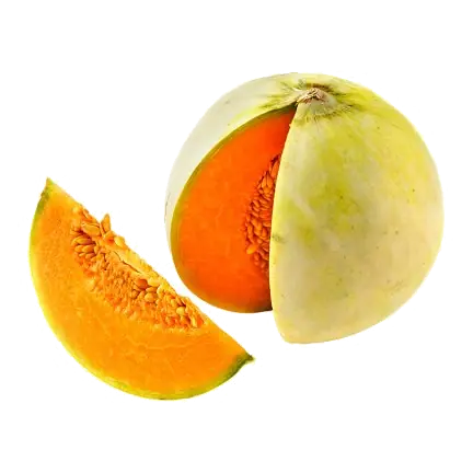 Sweet Italian Melon