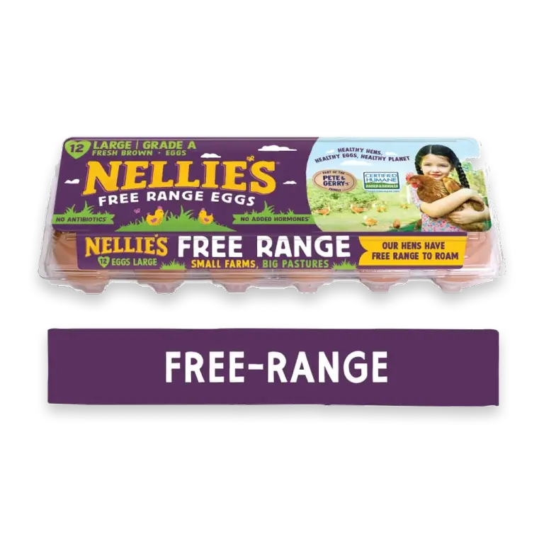 Free Range Eggs Large