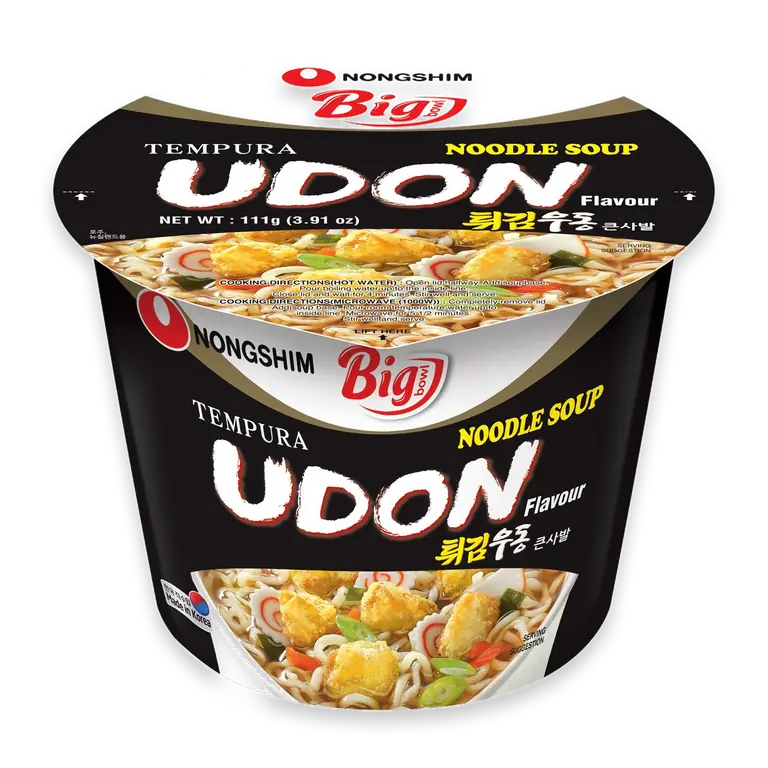 Big Bowl Tempura Udon Noodle Soup