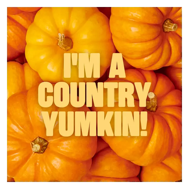 Pumpkin Finest Yoghurt