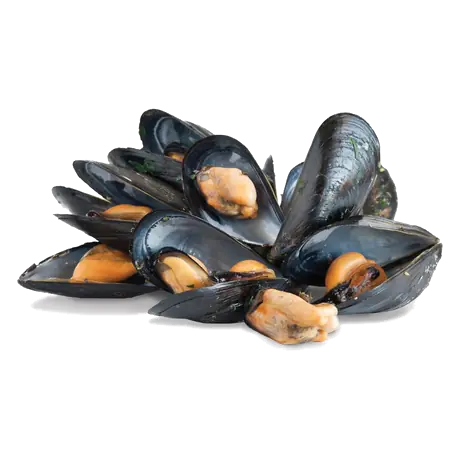 Atlantic Fresh Mussels