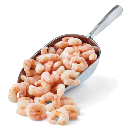 Cooked Previously Frozen Shrimp Meat