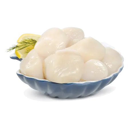 Fresh Scallops