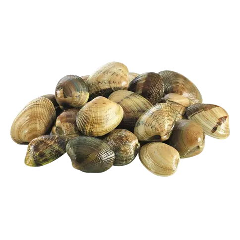 Frozen Manilla Live Clams
