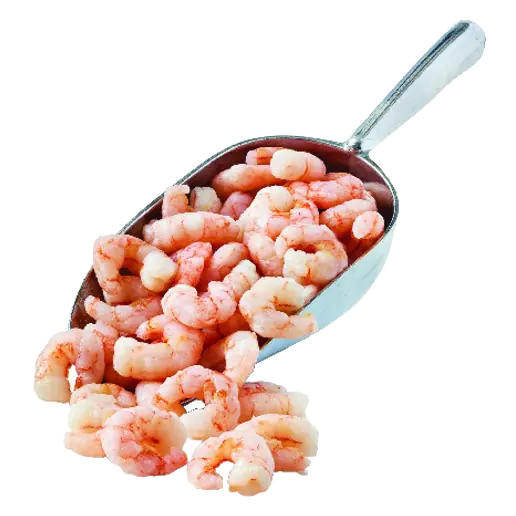 Hand Peeled Shrimp Previously Frozen (Thawed) Chilean