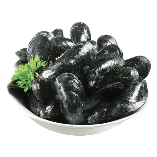 Mussels Fresh Cultivated 2.27 kg