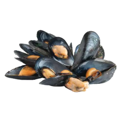 Newfoundland Cultivated Mussels