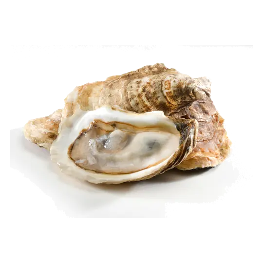 French Kiss Oysters 18 EA