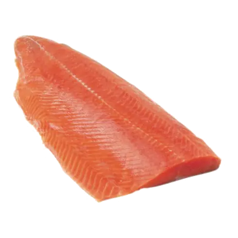 Fresh Salmon Coho Fillets