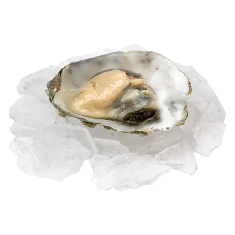 Ocean Wise Oysters Choice Small