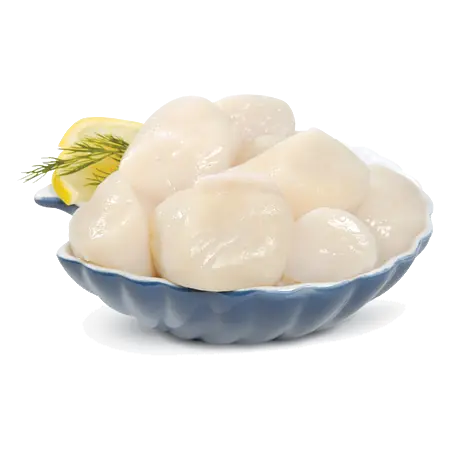 Scallops Previously Frozen 20-30 Count