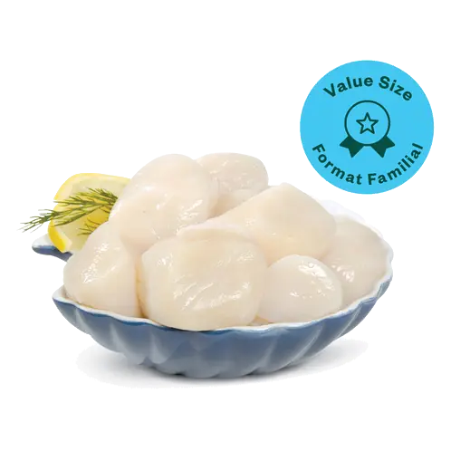 Sea Scallop Premium Jumbo 10-20 Count