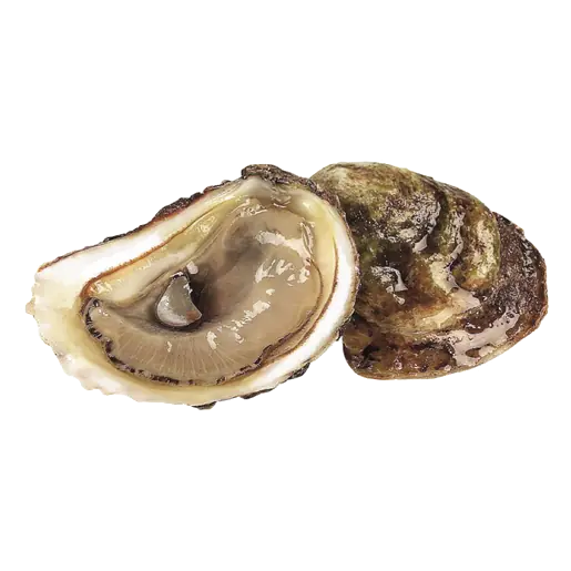Frozen Oysters Raspberry Choice 12 EA