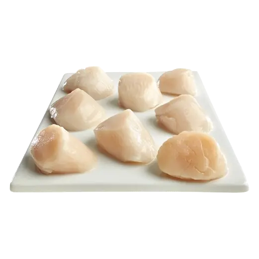 Frozen Scallops 20-30 Count
