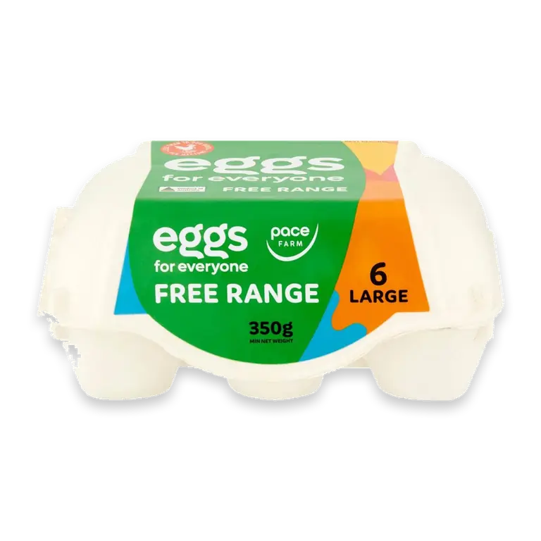 6 For Everyone Free Range Large Eggs