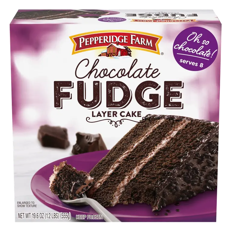 Frozen Chocolate Fudge Layer Cake