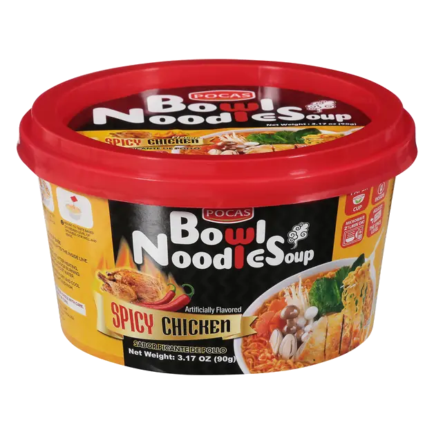Spicy Chicken Noodle Soup Bowl