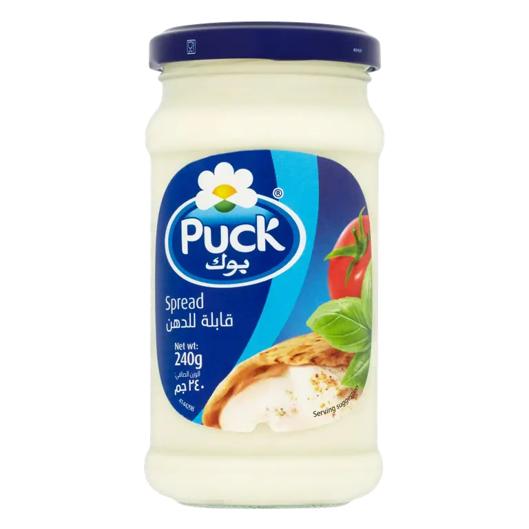 Processed Cheese Spread 240g