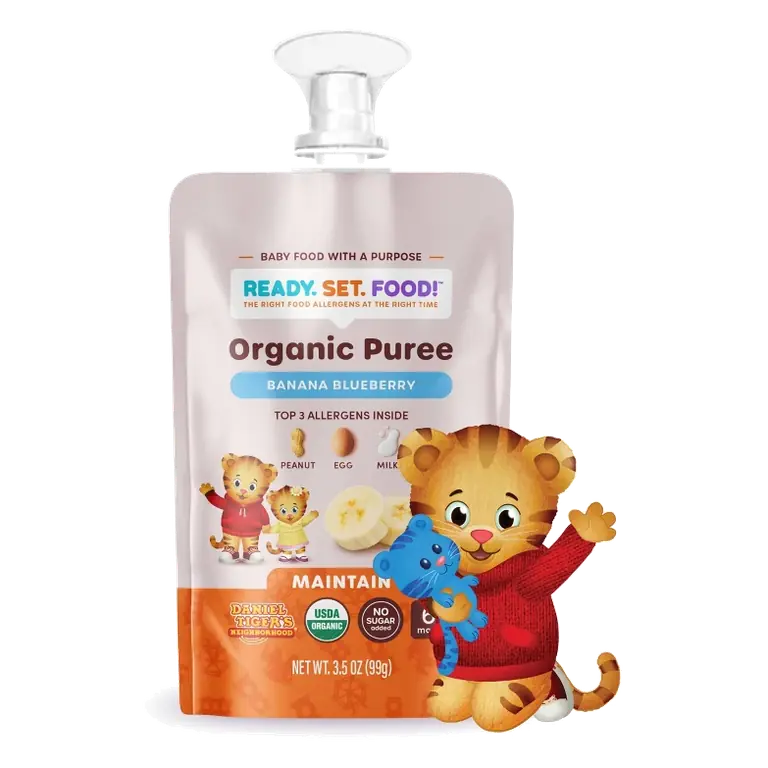 Ready, Set, Food! Organic Puree Pouch Baby Meals - Banana Blueberry - 3.5oz